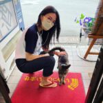 江ノ屋二代目と看板猫の江ノ