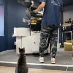 作業が終わって焙煎士さんに遊んでもらうのを待っている看板猫の江ノ