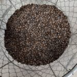 焙煎直後はザルで冷やしハンドピックします