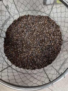 焙煎直後はザルで冷やしハンドピックします