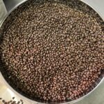 試験用に焙煎した豆