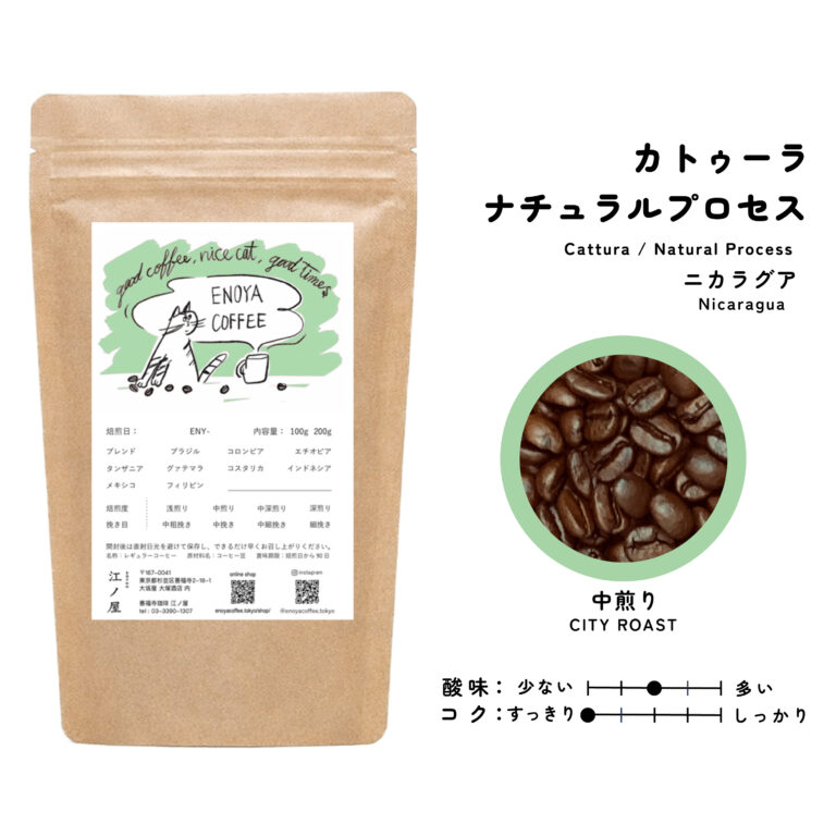 ニカラグア産　カトゥーラ　中煎り