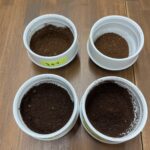 焙煎直後のコーヒー粉