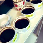 焙煎後カッピング