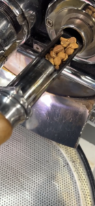 １はぜ直前の豆を確認しています