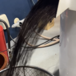 焙煎後のコーヒーはいい香り