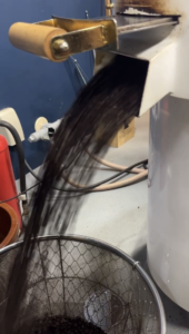 焙煎後のコーヒーはいい香り